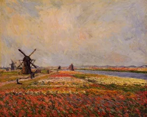 Fields of Flowers and Windmills Near Leiden