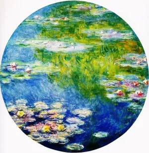 Water-Lilies 29